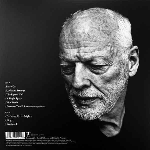 David Gilmour – Luck And Strange