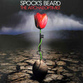 Spock's Beard – The Archaeoptimist - Echoes musicstore